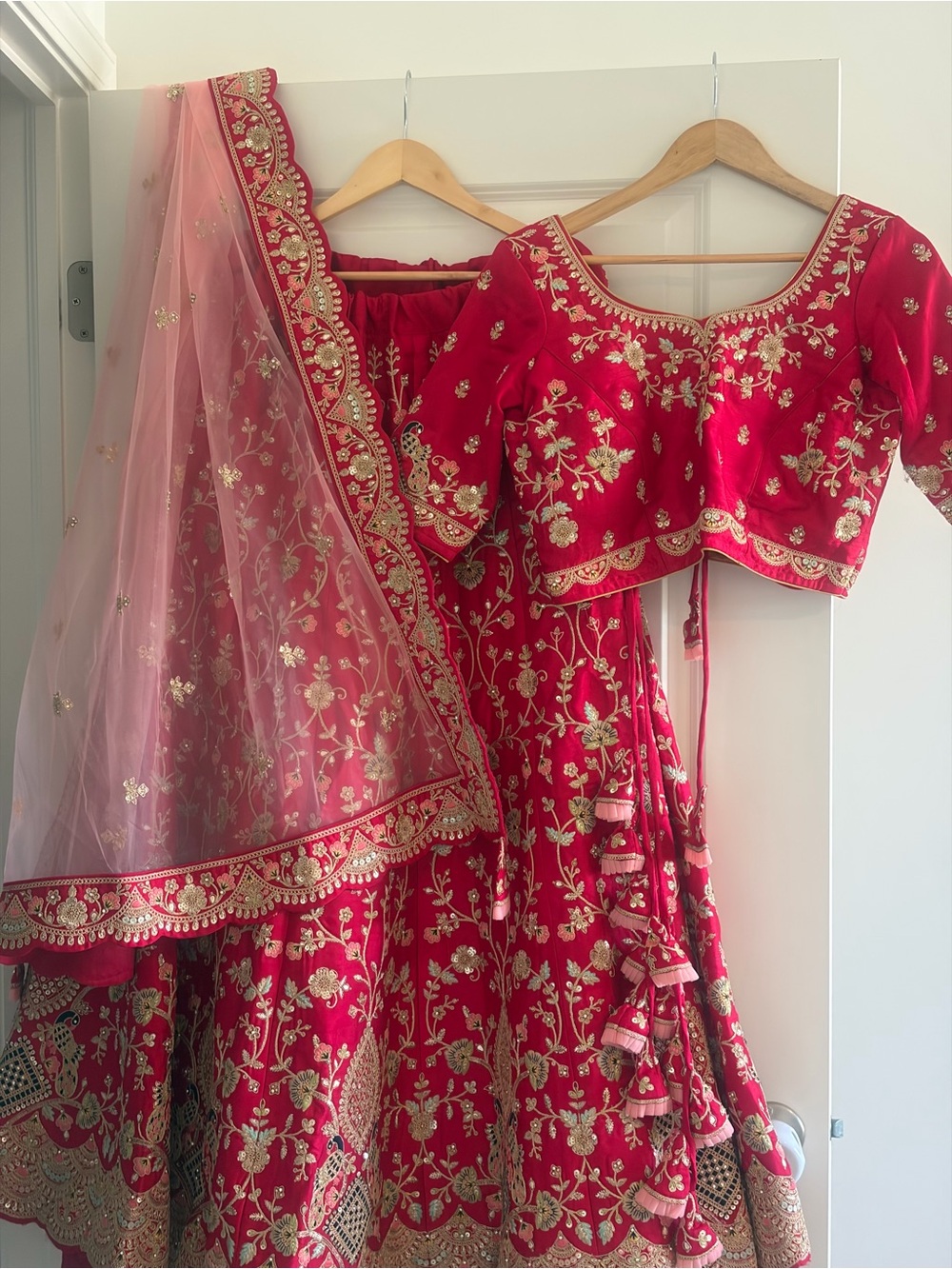 Red Embroidered Lehenga Choli with Gold Detail